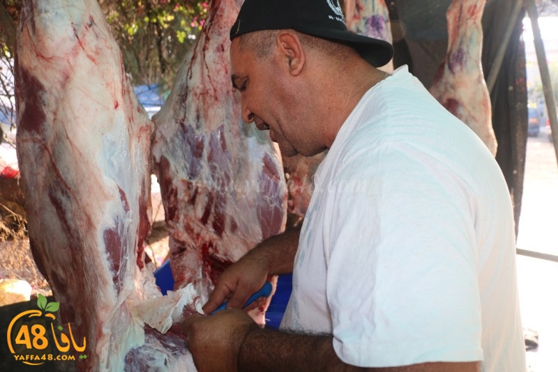 lod8om ada73y (74).JPG